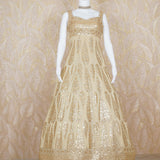 Perkha Golden Embroidered Gown