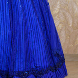 Rhea Royal Blue Organza Lehenga Set